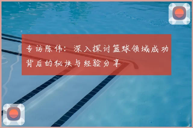 专访陈伟：深入探讨篮球领域成功背后的秘诀与经验分享