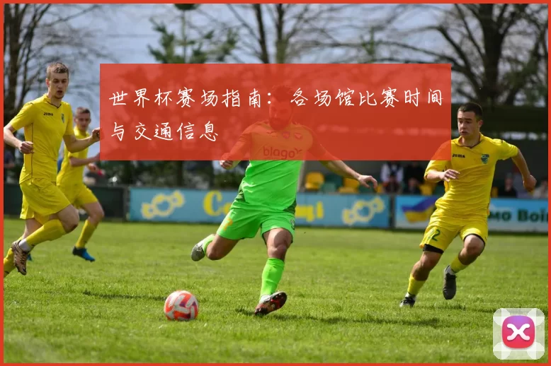 世界杯赛场指南:各场馆比赛时间与交通信息