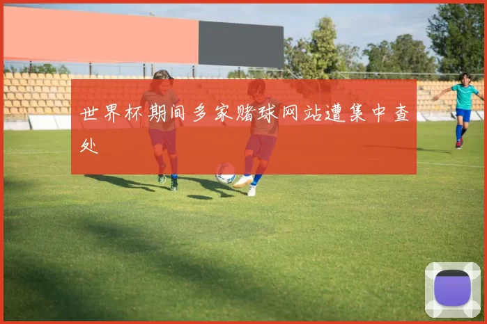 世界杯期间多家赌球网站遭集中查处