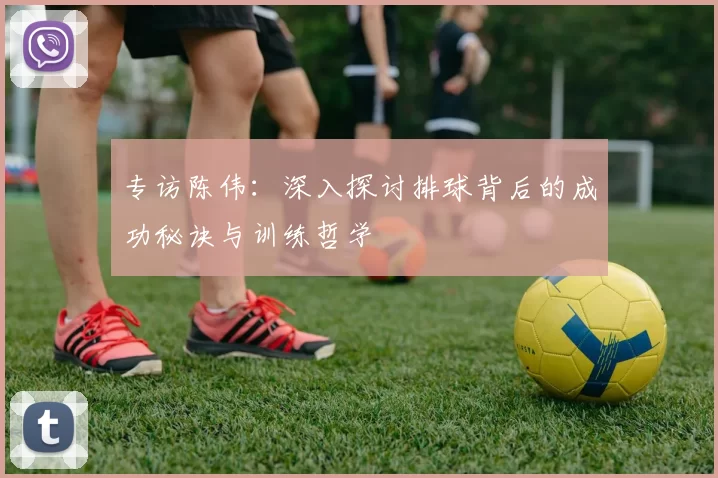 专访陈伟：深入探讨排球背后的成功秘诀与训练哲学