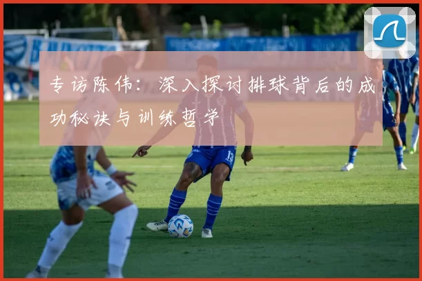 专访陈伟：深入探讨排球背后的成功秘诀与训练哲学