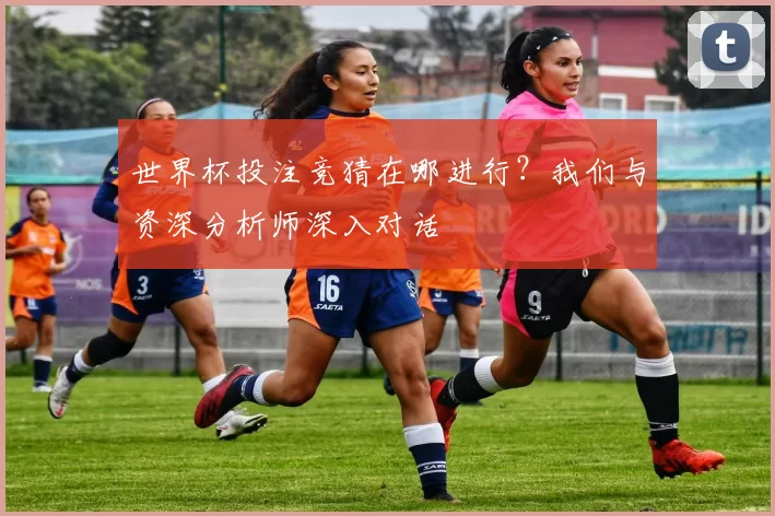 世界杯投注竞猜在哪进行?我们与资深分析师深入对话