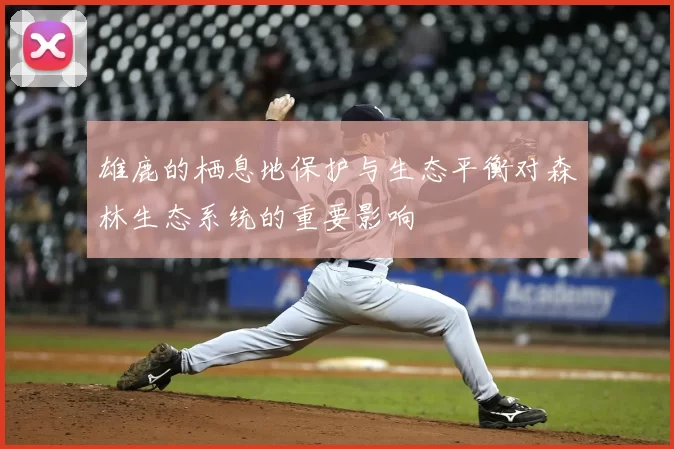 雄鹿的栖息地保护与生态平衡对森林生态系统的重要影响