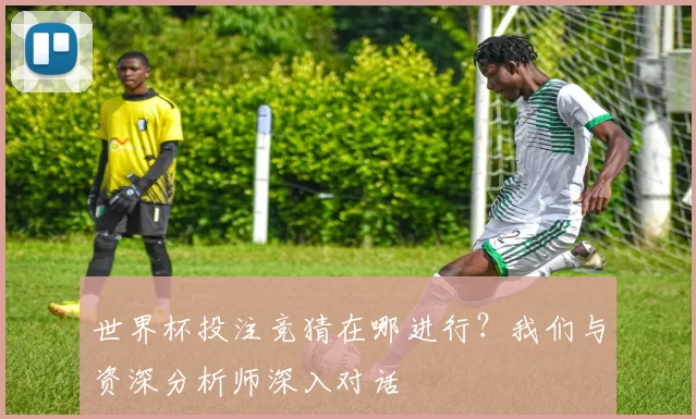 世界杯投注竞猜在哪进行?我们与资深分析师深入对话