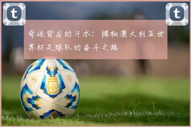 奇迹背后的汗水:揭秘澳大利亚世界杯足球队的奋斗之路