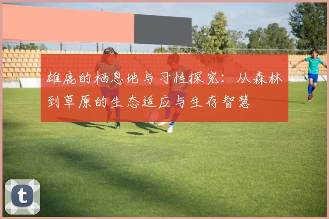 雄鹿的栖息地与习性探究：从森林到草原的生态适应与生存智慧