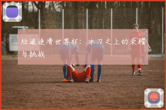 短道速滑世界杯:冰刀之上的荣耀与挑战