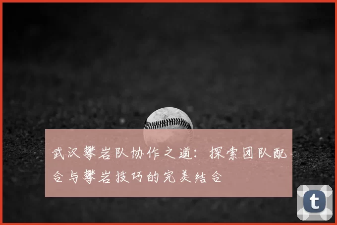 武汉攀岩队协作之道：探索团队配合与攀岩技巧的完美结合