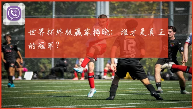 世界杯终极赢家揭晓：谁才是真正的冠军？