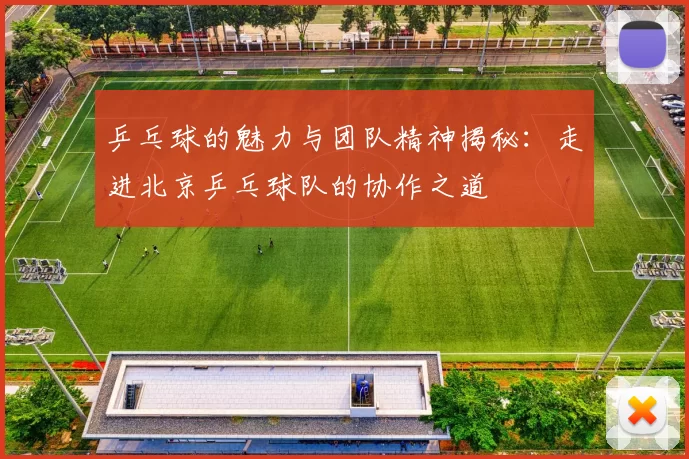 乒乓球的魅力与团队精神揭秘：走进北京乒乓球队的协作之道