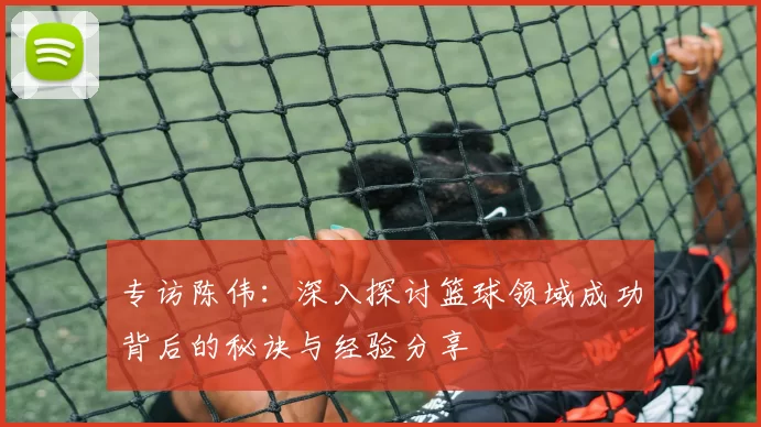 专访陈伟：深入探讨篮球领域成功背后的秘诀与经验分享