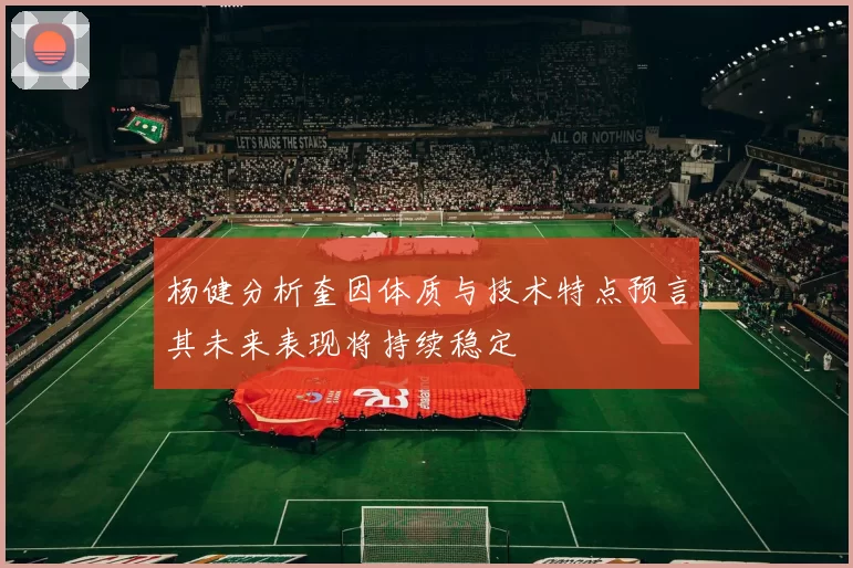 杨健分析奎因体质与技术特点预言其未来表现将持续稳定