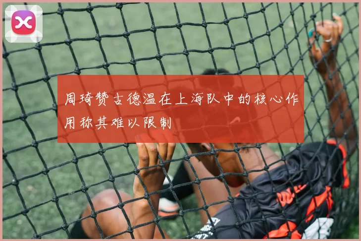 周琦赞古德温在上海队中的核心作用称其难以限制