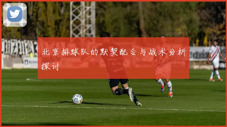 北京排球队的默契配合与战术分析探讨
