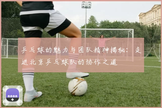 乒乓球的魅力与团队精神揭秘：走进北京乒乓球队的协作之道