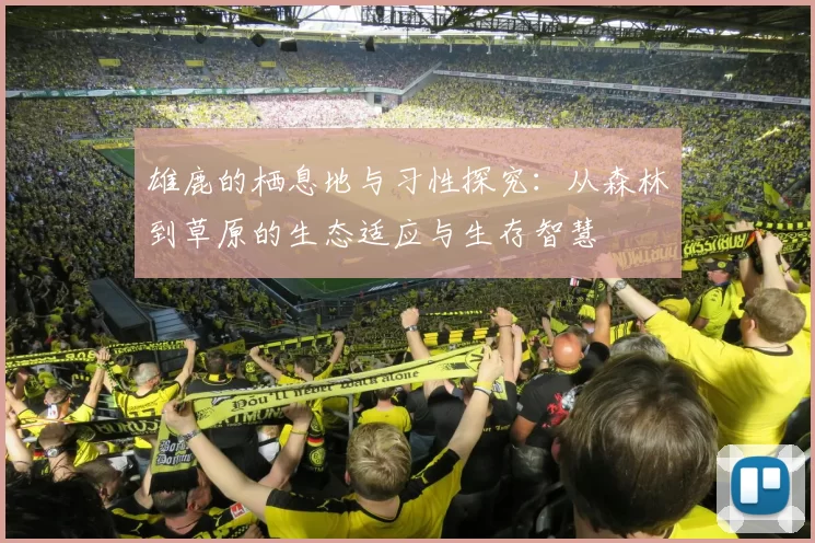 雄鹿的栖息地与习性探究：从森林到草原的生态适应与生存智慧