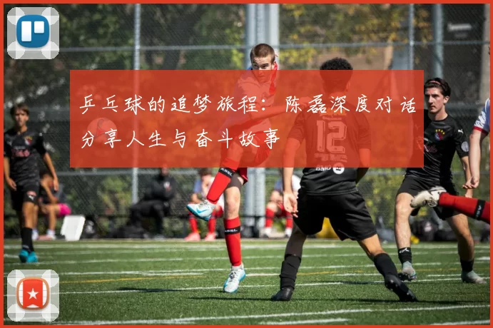 乒乓球的追梦旅程:陈磊深度对话分享人生与奋斗故事