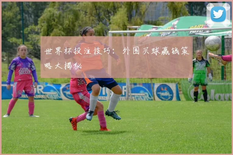 世界杯投注技巧:外围买球赢钱策略大揭秘