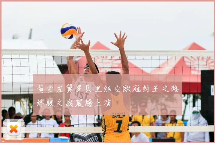 黄金左翼罗贝里组合欧冠封王之路终极之战震撼上演